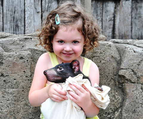 Australian Reptile Park - Airlie Beach Holiday 8