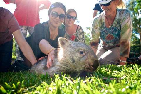 Australian Reptile Park - Airlie Beach Holiday 10