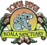 Lone Pine Koala Sanctuary - Airlie Beach Holiday