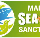 Manly SEA LIFE Sanctuary - Airlie Beach Holiday