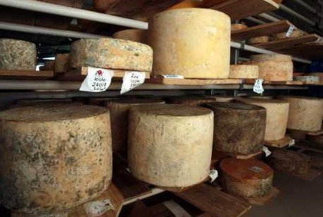 Witches Chase Cheese Co - Airlie Beach Holiday 3