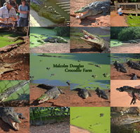 The Malcolm Douglas Crocodile Park - Airlie Beach Holiday