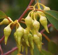 Mount Short Scenic Drive - Airlie Beach Holiday