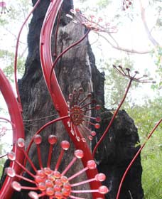 Understory Art In Nature - Airlie Beach Holiday 0