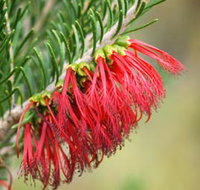 Ethel Daw Scenic Drive - Airlie Beach Holiday