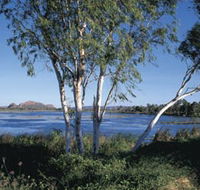 Celebrity Tree Park - Airlie Beach Holiday