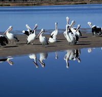 Peel Region Canoe Trails - Airlie Beach Holiday