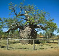 Pigeon Heritage Trail - Airlie Beach Holiday