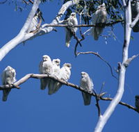 Carawine Gorge - Airlie Beach Holiday