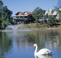 White Swans - Airlie Beach Holiday