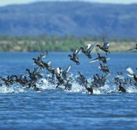 Ord River - Airlie Beach Holiday
