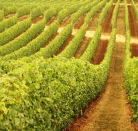 Xanadu Wines - Airlie Beach Holiday