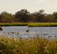 Anytime Adventures in Mandurah  the Peel Region - Airlie Beach Holiday