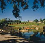 Mount Hurtle Winery home of Geoff Merrill Wines - Airlie Beach Holiday
