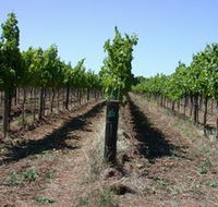 Temple Bruer Winery - Airlie Beach Holiday