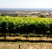 Braydun Hill Vineyard - Airlie Beach Holiday