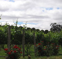 Manyara Vineyard - Airlie Beach Holiday