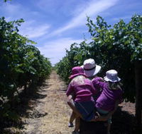 McLaren Vale Orchards - Airlie Beach Holiday