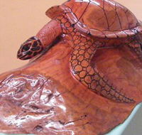 Ants Redgum Gallery - Airlie Beach Holiday