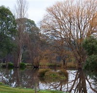 Gemtree Wetlands Ecotrail - Airlie Beach Holiday