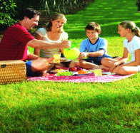 Bruny Island Berry Farm - Airlie Beach Holiday