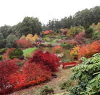 Emu Valley Rhododendron Garden - Airlie Beach Holiday