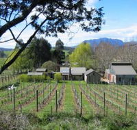 Wilmot Hills Vineyard - Airlie Beach Holiday
