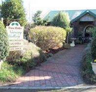 Two Oaks Nursery Gallery and Cafe - Airlie Beach Holiday