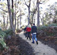 Bridport Walking Track - Airlie Beach Holiday