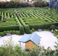 Westbury Maze and Tea Room - Airlie Beach Holiday