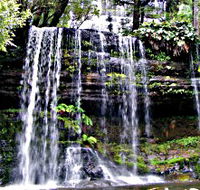 Mt Field National Park - Airlie Beach Holiday