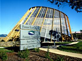 Forester TAS Airlie Beach Holiday