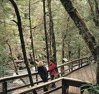 Franklin River Nature Trail - Airlie Beach Holiday