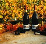 Craigow Vineyard - Airlie Beach Holiday