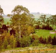 The Tasmanian Arboretum - Airlie Beach Holiday