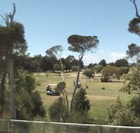 Greens Beach Golf Course - Airlie Beach Holiday