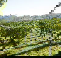 Surveyor's Hill Vineyards - Airlie Beach Holiday