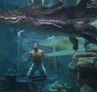 Crocosaurus Cove - Airlie Beach Holiday