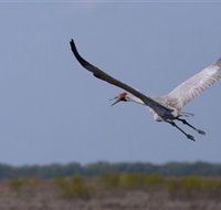 Gayngaru Wetlands Interpretive Walk - Airlie Beach Holiday