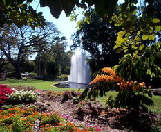 Book Darwin NT Attractions Airlie Beach Holiday Airlie Beach Holiday