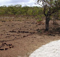 Wurrwurrwuy Garanhan Macassan Beach Interpretive Walk - Airlie Beach Holiday