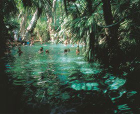 Mataranka Thermal Pool - Airlie Beach Holiday 0