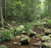 Amamoor State Forest - Airlie Beach Holiday