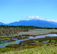 Eubenangee Swamp National Park - Airlie Beach Holiday