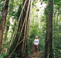 Wet Tropics - Airlie Beach Holiday
