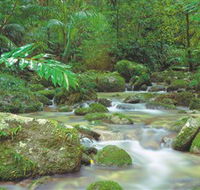 Mossman Gorge Daintree National Park - Airlie Beach Holiday