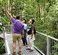 Daintree Discovery Centre - Airlie Beach Holiday