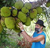 Cape Trib Exotic Fruit Farm - Airlie Beach Holiday