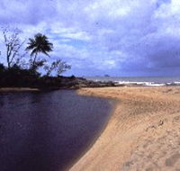 Russell River National Park - Airlie Beach Holiday