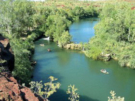 Wild Dog Dreaming, Boodjamulla (Lawn Hill) National Park - Airlie Beach Holiday 0